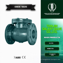 Full swingcast iron flanged check valve